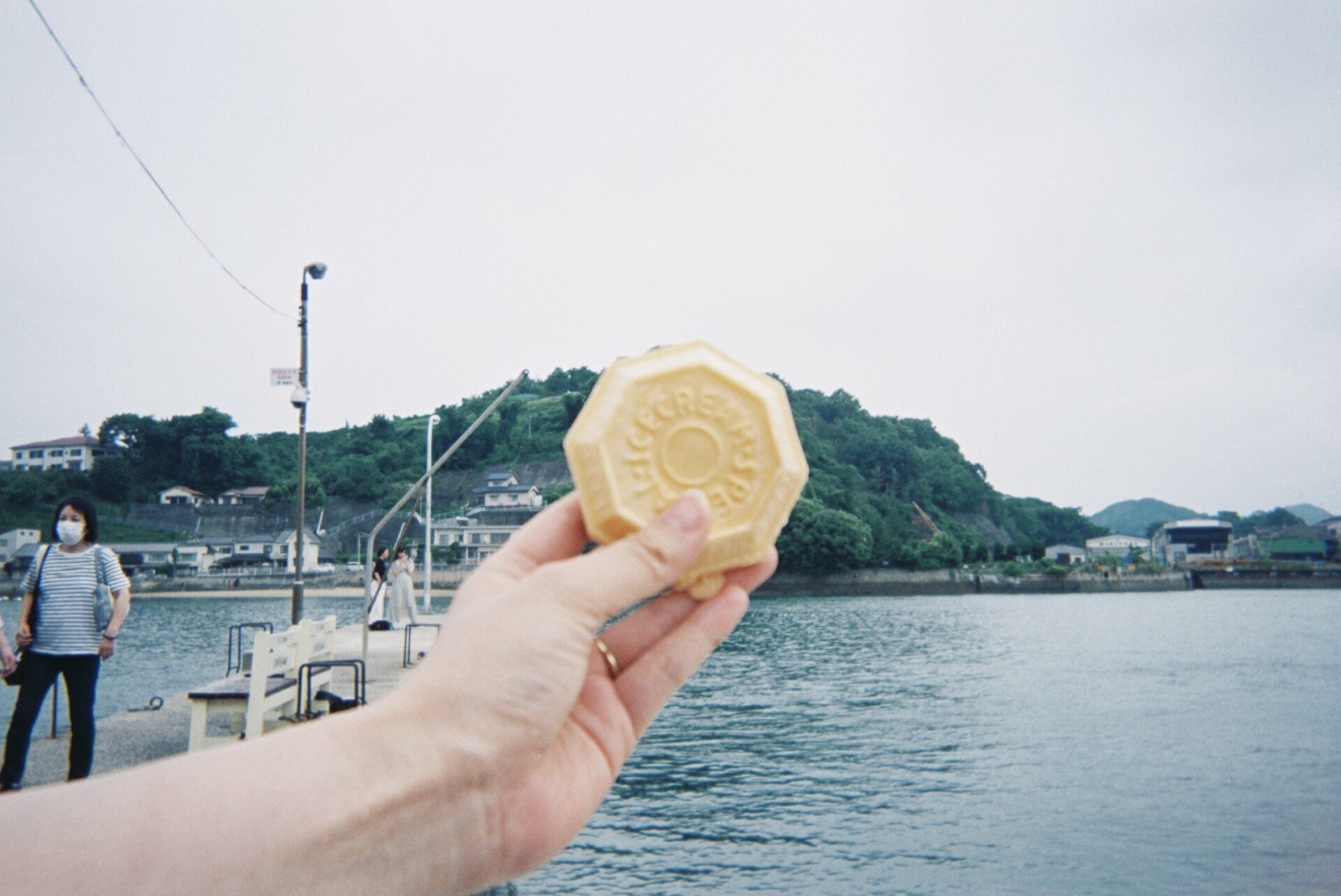 写ルンです 作例
