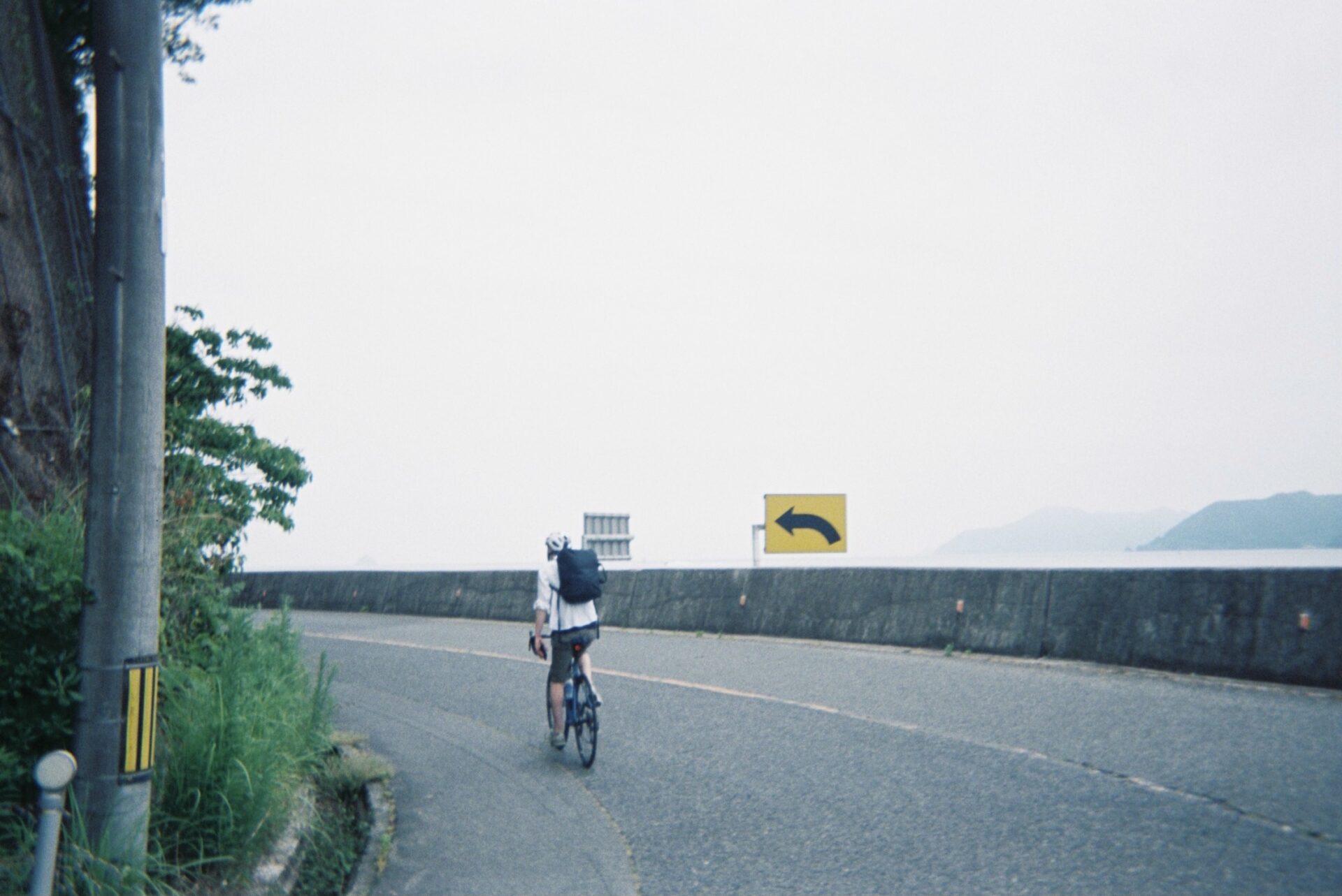 写ルンです 作例