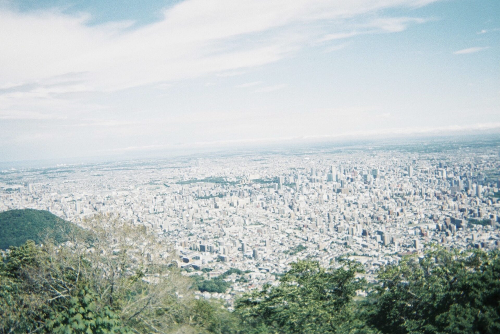 写ルンです 作例